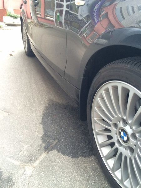 Бризковики Premium для E81/87 (4 шт). BMW 1 серія E81/E82/E87/E88 2004-2011 рр. mfg-be108 фото